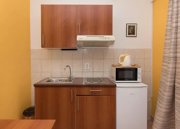 罗里克公寓 公寓