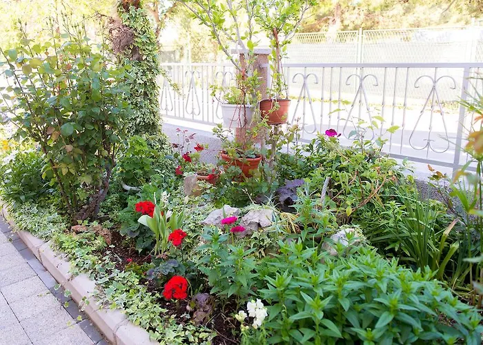 罗里克公寓 公寓