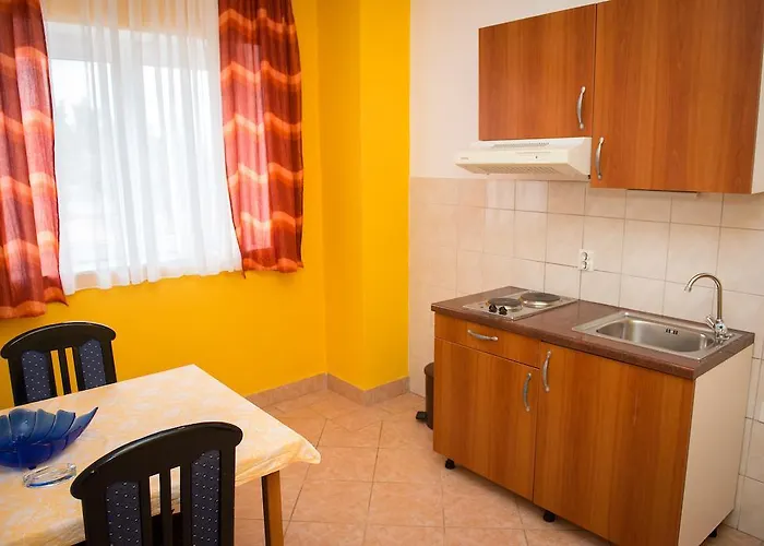 罗里克公寓 沃迪切