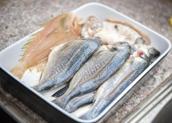 公寓 罗里克公寓