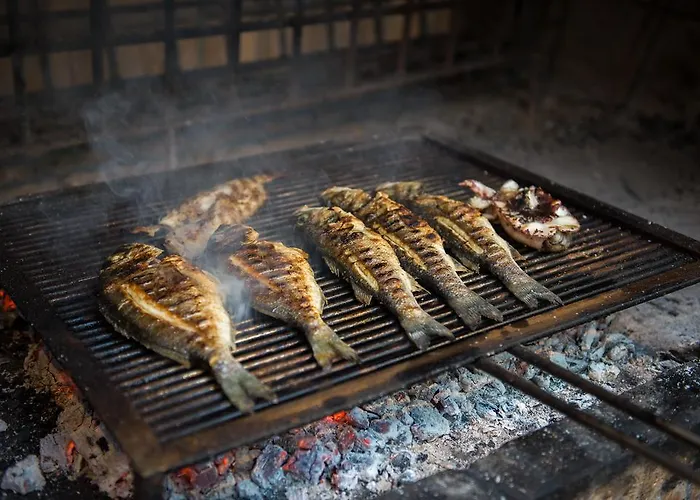 罗里克公寓 * 沃迪切